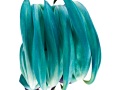 Liane-de-Jade-67-3_2-cmjn-8bits