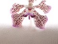 ORCHIDEE-96-copie