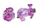 VIGNA-CARACALLA-B-8065-copie