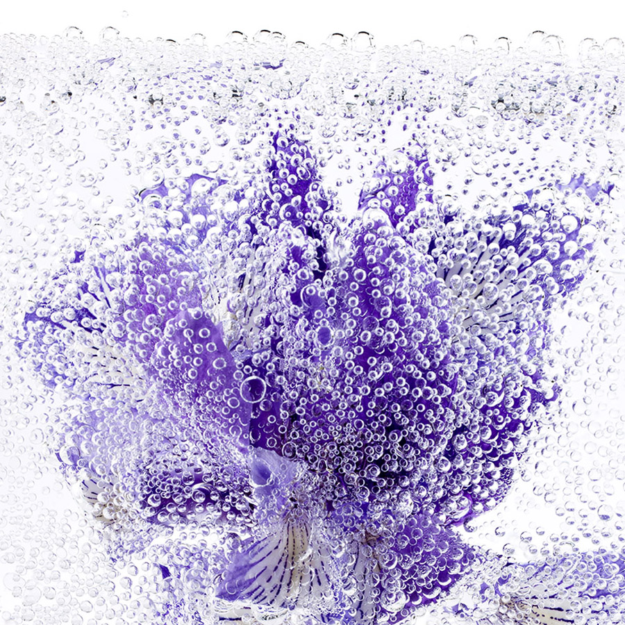 Messagère des Dieux