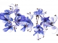 effet papillon