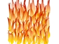 Destructuration de dalhia
