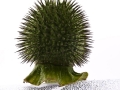 Datura
